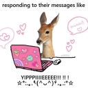 sleepy-moosey avatar