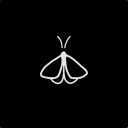 sleepy-moths avatar