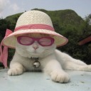 sleepy-natkat avatar