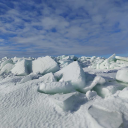 sleepy-puffin avatar