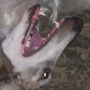 sleepy-scholar420-blog avatar