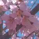 sleepy-witch-sideblog avatar