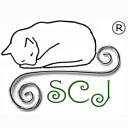 sleepycatjewelry avatar