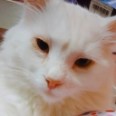 sleepyfairy14 avatar