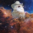 sleepykat42069 avatar