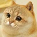 sleepymemegirl avatar