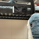 sleepyraccoonchild avatar