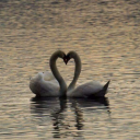 sleepysadeyes avatar