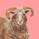 sleepysheepy123 avatar