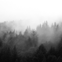 slenderversesuggestions avatar