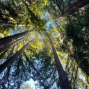 slide-tackles avatar