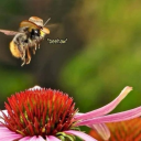 slightlyobsessedwitheverything avatar