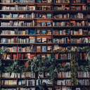 slipandslidekyrol avatar