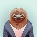 slothful-sloth avatar