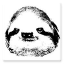 slothsgrotto avatar