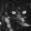 slouchingsunflowers avatar