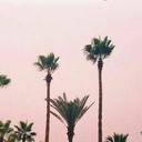 slowlystupendoustyphoon-blog avatar