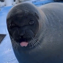 sludgemaster420 avatar