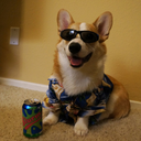 slurmsmccorgi avatar