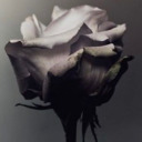 slut-recovery avatar