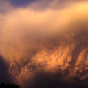 smallbeeaebee avatar