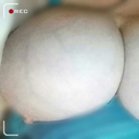 smalldick-guy avatar