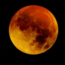 smashorpassgilf avatar