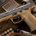 smith-and-wesson-m-p40-blog avatar