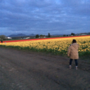 smokingbythewindow avatar