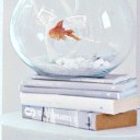 smokingguntape avatar