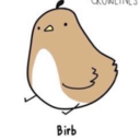 smolbirb98 avatar