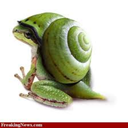 snailfrog avatar