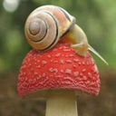 snailsramzing-blog avatar