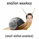 snallonweekes avatar