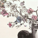 snarkmagician avatar