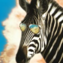 sneakyzebra avatar