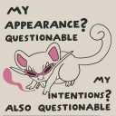 sneasedtosneaseyou avatar