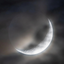 snippets-and-snaps avatar