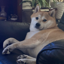 snoconiusmaximus avatar