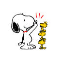 snoopy-radio avatar