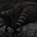 snowonthedirt1 avatar