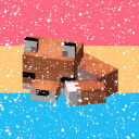 snowy-biome avatar