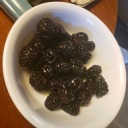 snowy-butterfly avatar