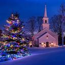 snowywinterlights avatar