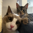 sobertodeathh avatar