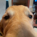 soccer-smile19 avatar