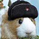 socialistguineapigs avatar