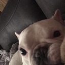 sociallyawkwarddays avatar