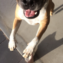 socialyawkward394 avatar