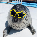 sodamania avatar